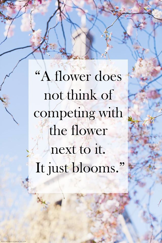 flowers dont compete